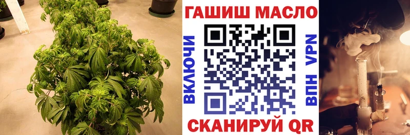 как найти   Калач-на-Дону  ТГК THC oil 