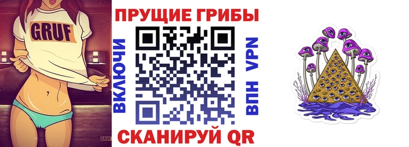 omg зеркало  Калач-на-Дону  Галлюциногенные грибы MAGIC MUSHROOMS 